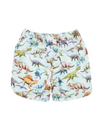 Load image into Gallery viewer, Bebe - Rex Print Boardshorts 3-10 Years
