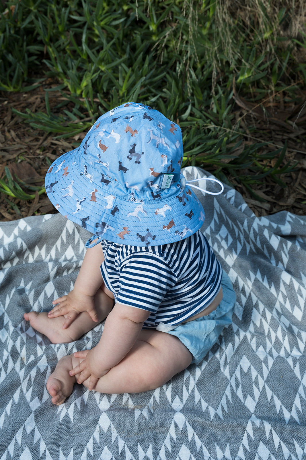 Acorn - Central Park Doggies Wide Brim Infant Hat - Blue/Brown/White