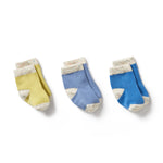 Load image into Gallery viewer, Wilson &amp; Frenchy - Organic 3 Pack Baby Socks - Endive, Bluebell, Blue
