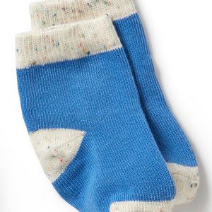 Wilson & Frenchy - Organic 3 Pack Baby Socks - Endive, Bluebell, Blue