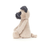 Load image into Gallery viewer, Jellycat - Bashful Pug
