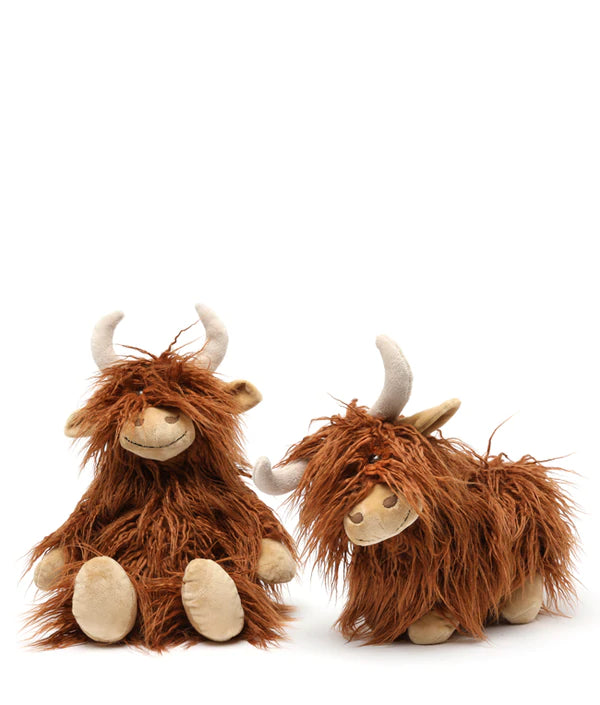 Nanahuchy - Henry the Highland Cow