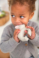 Load image into Gallery viewer, Oli &amp; Carol - Nelly The Elephant Natural Rubber Teether Toy
