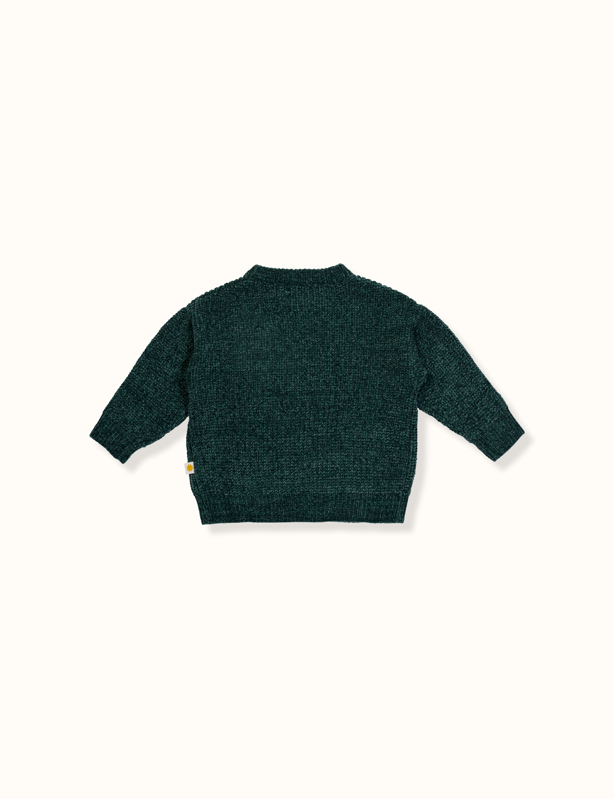 Goldie + Ace - Poppy Chenille Relaxed Crop Sweater (Forest)