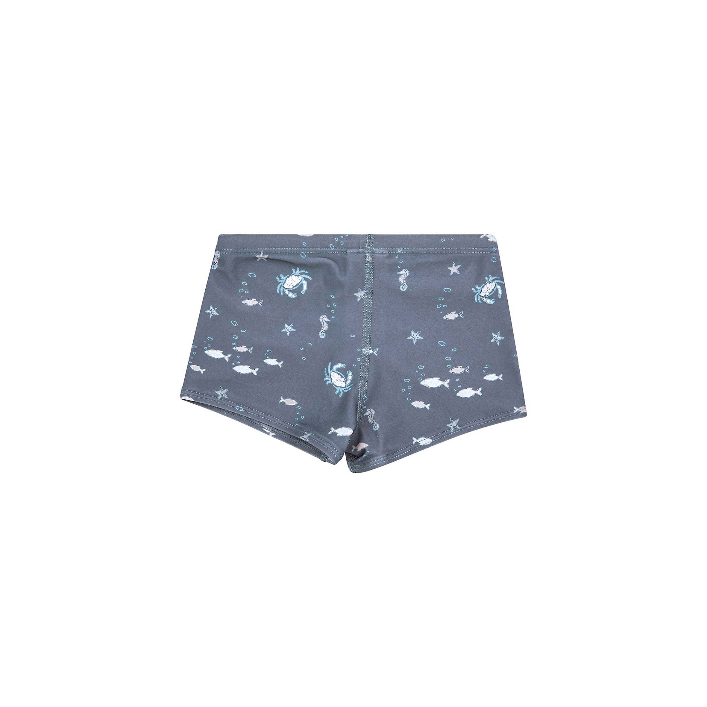 Toshi - Swim Shorts - Neptune
