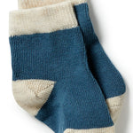 Load image into Gallery viewer, Wilson &amp; Frenchy - Organic 3 Pack Baby Socks - Bluestone/Sterling/Oatmeal
