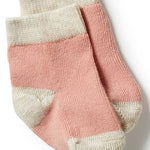 Load image into Gallery viewer, Wilson &amp; Frenchy - Organic 3 Pack Baby Socks - Peach/Shell/Oatmeal
