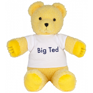 Play School - Big Ted