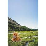 Load image into Gallery viewer, Jellycat - Truffles Highland Cow Medium
